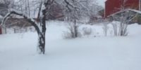 Farm Snow Day